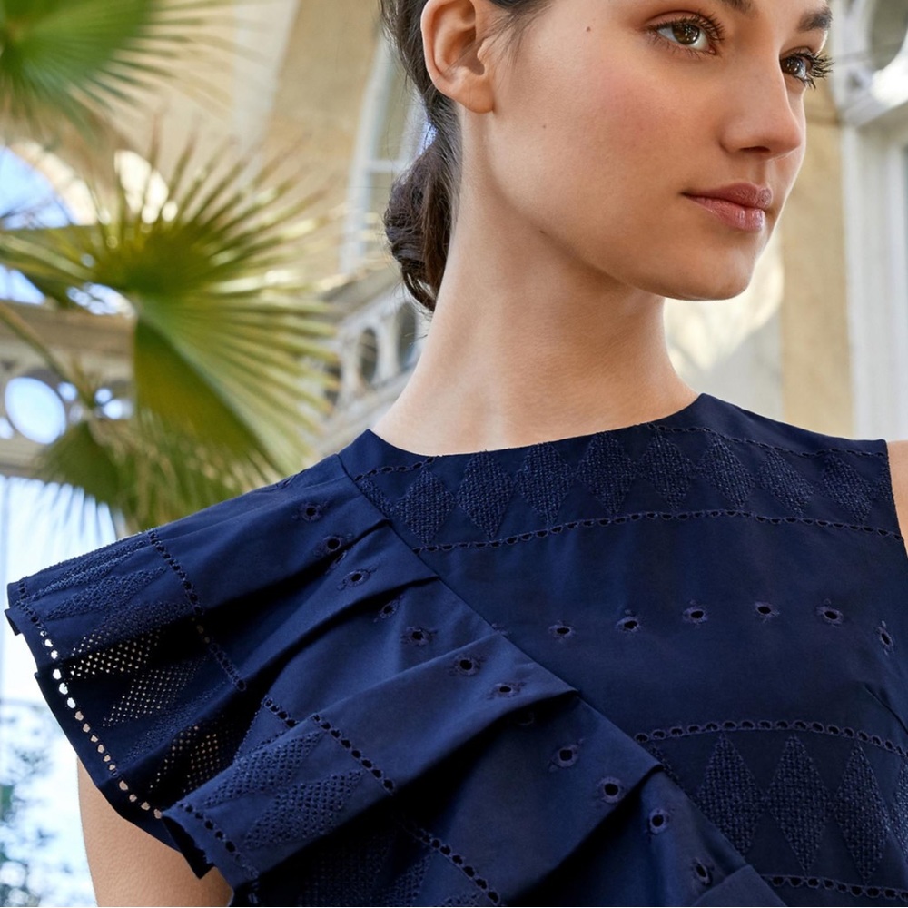 NWOT Ted Baker London A-Line Embroidered Cotton Dress - Picture 4 of 5